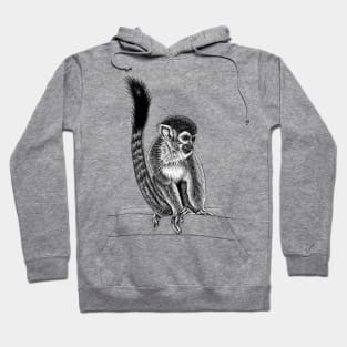 Squirrel monkey Hoodie